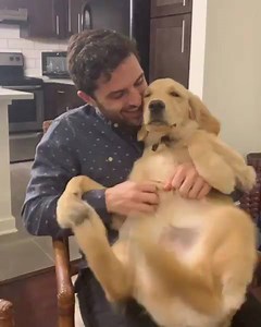 The twofer 🦘 | MetDaan Animals