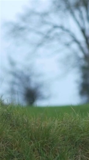 Check out this new program line up for 2026! Stay tuned for more details. | Carroll County Conservation