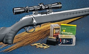 Review: Ruger American Rimfire Stainless - RifleShooter