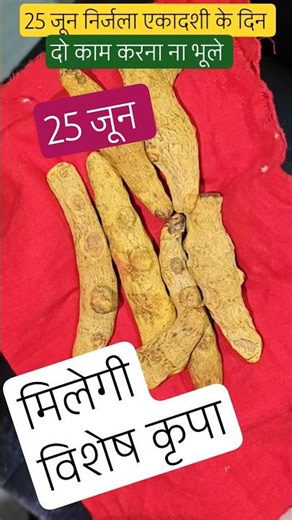 25 जून निर्जला एकादशी के दिन, दो काम करना ना भूले,मिलेगी विशेष कृपा #ytfacts #nirjala_ekadashi_vrat