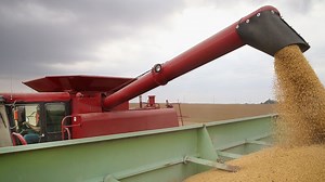 Trump’s trade war threatens Midwest farmers | CNN Politics