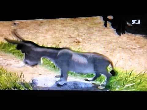 Shrek, der tollkühne Held -Freundschaft