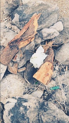 Nothing to Start Your Camp Fire With...?