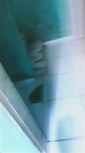 16 de janeiro de 2026