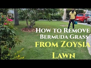 How to Remove Bermuda Grass from Zoysia Lawn | Fusilade II & Recognition Herbicide Tutorial