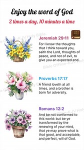 1K views · 10K reactions |  Find peace in God's word anytime, anywhere. Our free offline Bible app offers daily inspiration, personalized content, and easy sharing. Start your spiritual journey today.  | Bible Offline | Facebook