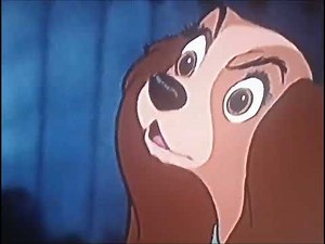 lady & tramp lady crying 😭 video 📷