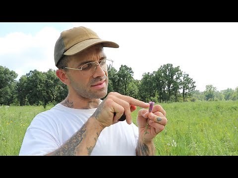 Meet the YouTube Botanist with a Thick Chicago Accent and Foul Mouth