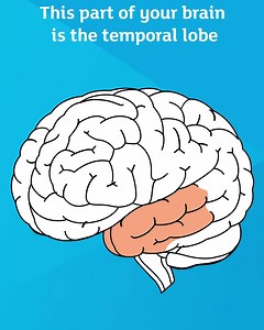 2.4M views · 864 reactions | Your brain is the most fascinating and complex organ you have – but like any other organ, it needs looking after. Request your FREE guide today to learn what makes your brain healthy, how to spot the signs of dementia, and how to reduce your risk of developing diseases that cause dementia. | Alzheimer's Research UK | Facebook