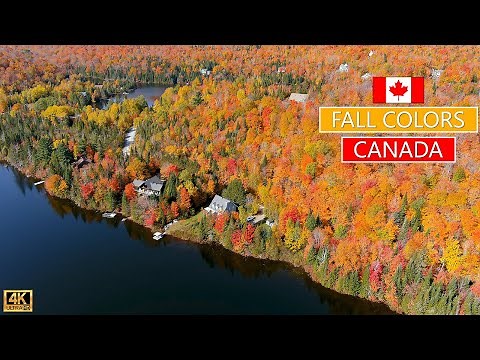 FALL SEASON IN QUEBEC, CANADA │ 4K camera drone captures stunning landscapes and fall colors. Enjoy!