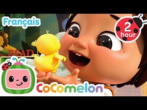 Dix petits oeufs | Chansons pour enfants | CoComelon Le coin des Animaux de JJ - Comptines Bébé
