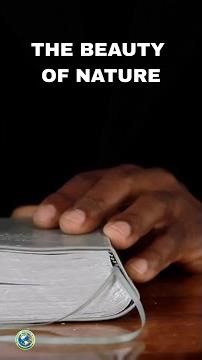 Christ's Object Lessons | Chapter 11 | "Things New And Old" | Page 96 | Ellen G. White