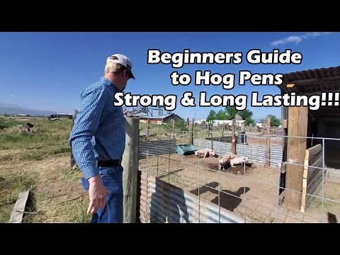 Beginners guide to PIG PENS | STRONG, LONG LASTING!!