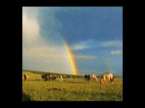 [FREE] "Sienna" Pemdas Type Beat