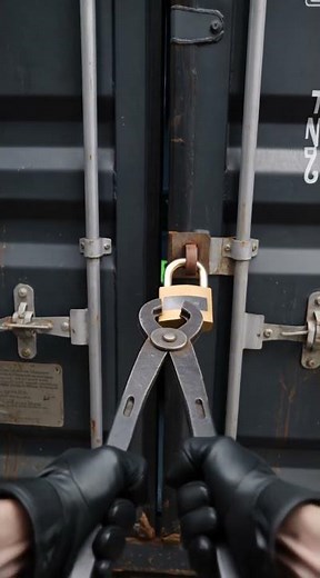 I Found a Lost Container in the Ocean… Look What Was Inside 😳