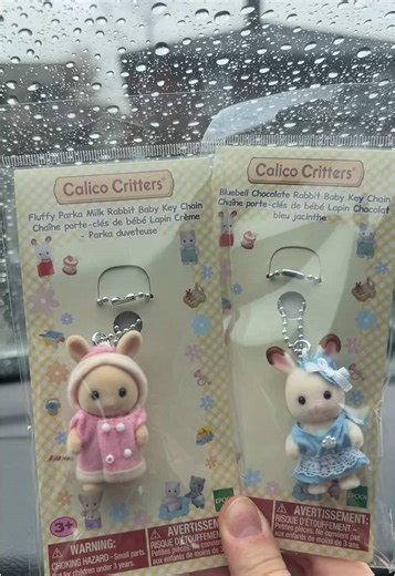 enjoying this rainy day ☔️ #calicocritterblindbags #babypartyseriessyvanianfamilies #babypartyseries #calicocritterkeychain #slyvanianfamilies #calicocritters #foryoupage #fyp #foryou