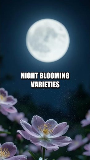 Hidden Night Pollinators Five Quick City Garden Facts