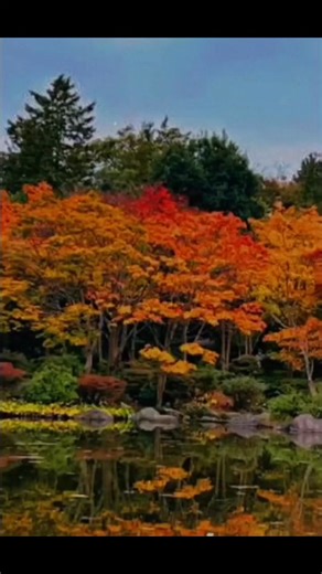 304 reactions · 104 shares | Hugo Arriaga on Reels | Facebook