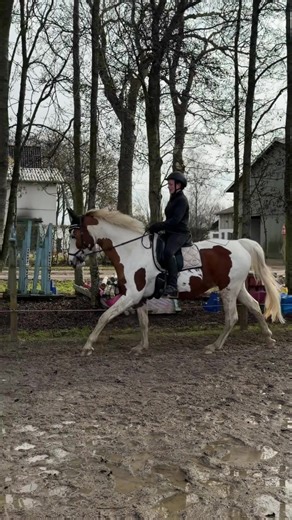 Training Challenges with Spot: Finding Our Rhythm
