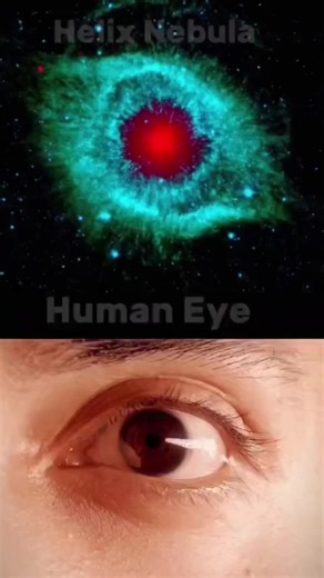 2.8K views · 117 reactions | Nature versus Astronomy. #astronomy #space #nasa #astrophotography #universe #science #cosmos #moon #stars #galaxy #astrophysics #physics #photography #nightsky #spacex #milkyway #cosmology #astro #telescope #earth #astronomia #sky #nature #astronaut #solarsystem #nightphotography #planets #astrophoto #mars #nebula | World Knowledge | Facebook