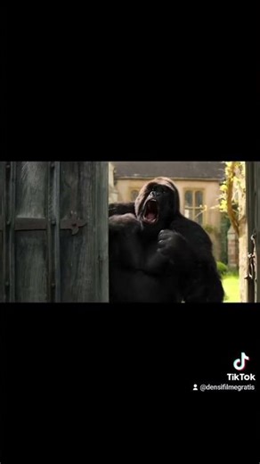 film complet în română