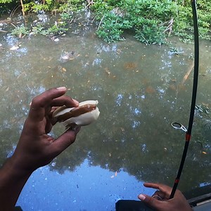 13M views · 97K reactions | Mancing pakai kue Apem Belah , langsung disambar ikan besar ... | Iwans Ariesboy | Facebook