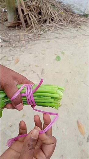 The Best World's rope Knot Ever! #rope #knots #lifehacks #bestknots