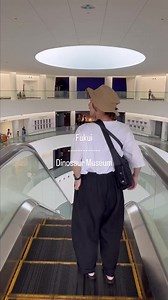 Get Mesozoic at the Fukui Prefectural Dinosaur Museum in Katsuyama, Japan’s epicenter for dinosaur research. Home to Japan’s largest excavation site, it boasts six unique fossil discoveries. The museum’s main exhibitions, including Dinosaur World and Earth Sciences, showcase 50 complete dinosaur skeletal structures and fossils, with a 7.2-meter long Tyrannosaurus Rex robot guarding the exhibits. The History of Life exhibition on the second floor unveils the evolution of life, alongside large mes