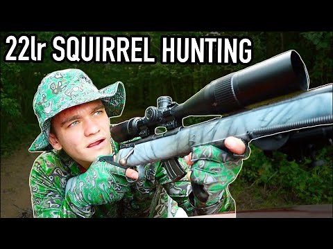 Squirrel Hunting with 22LR! (Catch and Cook)