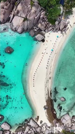 Come with me to enjoy the beauty of a beautiful beach. #nature #shorts