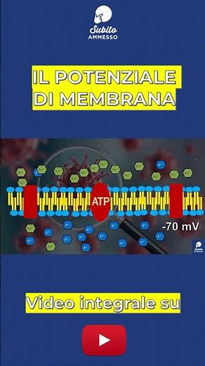 Il segreto elettrico delle cellule ⚡| il potenziale di membrana spiegato in 60s #reels #scuola