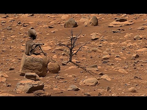 NASA Released Stunning Images from Perseverance Rover on Mars - Sol 1229 | Mars Latest Video