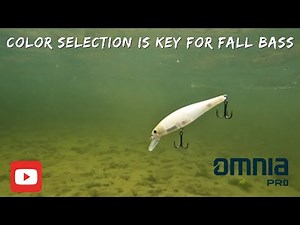 How to pick the right Color Bait for Fall Bass Fishing!