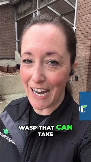 Flea Beetles & Cutworms: New Canola School Insights #shorts