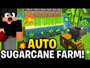 Minecraft Auto Sugarcane Farm Tutorial 2025