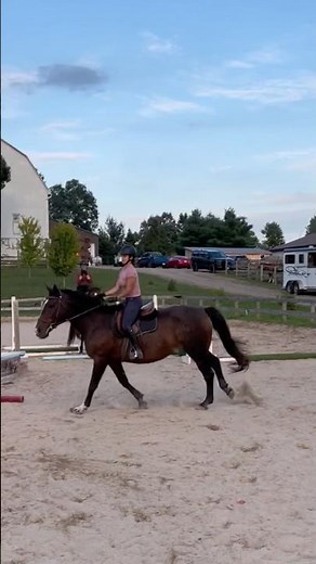 Raw of my riding lesson! 🐎 #shorts #horseriding #horseridinglessons