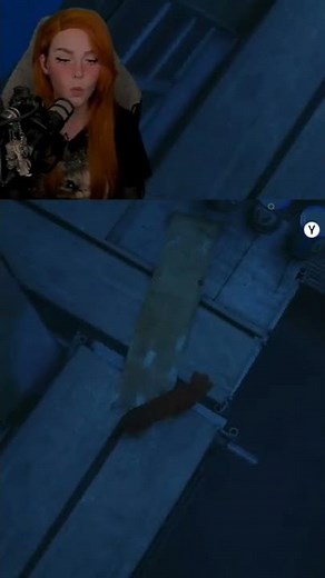 Я хороший котик #Shorts