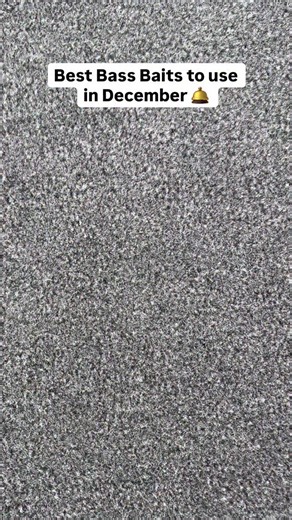 The best bass baits this December 🙌 Full video live on YouTube! | Jacob Wheeler