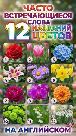 Английский для начинающих 💡 12 Названий цветов + правильное произношение 🎉 Проверь себя