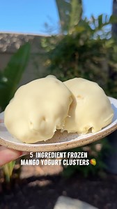 5 INGREDIENT MANGO YOGURT CLUSTERS🥭 If you want a delicious and easy treat for when you are craving something sweet but want to keep it healthier. Try these mango yogurt clusters dipped in melted white chocolate. They taste like a mango creamsicle and I can’t stop eating them🤤. But you could also skip the chocolate entirely and they are just as good! Here is how to make: 1 cup yogurt or choice 1 Tbsp honey 1 fresh mango chopped 1 1/2 cups white chocolate chips 1 tsp refined coconut oil Instruc