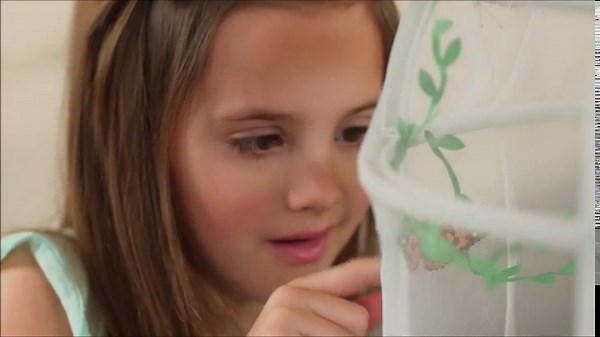 Uncle Milton Butterfly Farm Live Habitat - Observe Caterpillars Transform Into Butterflies, STEM Toy, Great Gifts for Boys & Girls Ages 6+