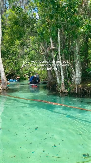 432K views · 2.5K reactions | It’s never too early to plan your next adventure! Join us on the Rainbow River this Summer to explore the beautiful crystal clear waters of this Central Florida paradise.  | Get Up And Go Kayaking | Facebook