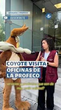 Profeco recibe queja de Wile E. Coyote contra ACME #shorts
