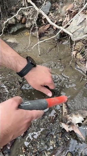 📡 This Signal Turned Into the Discovery of My Life! #metaldetecting #treasuresearch #metaldetector