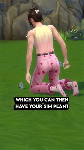 How To Grow A Money Tree In The Sims 4