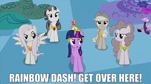 Rainbow Dash! Get over here!