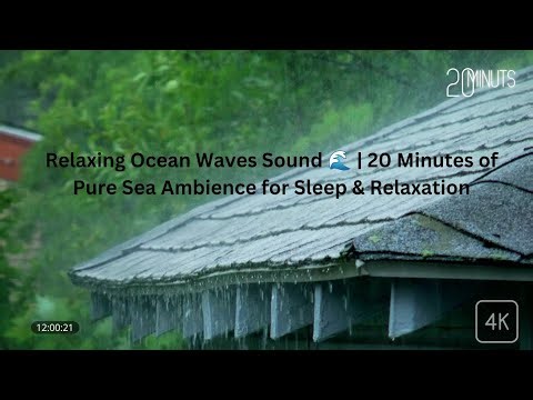 Soothing Sea Waves 🌊 | 20 Min Natural Sound | Peaceful Sleep & Relaxation Audio