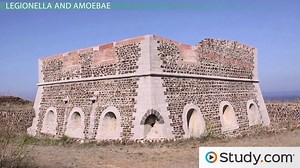 Legionnaires' Disease: Cause, Symptoms & Treatment - Video | Study.com