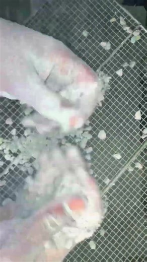 Relaxing ASMR Shifting with Gym Chalk Powder