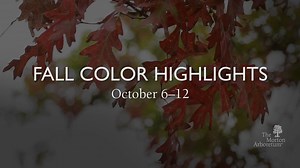 5.1K views · 204 reactions | Want to know where to find the best fall...